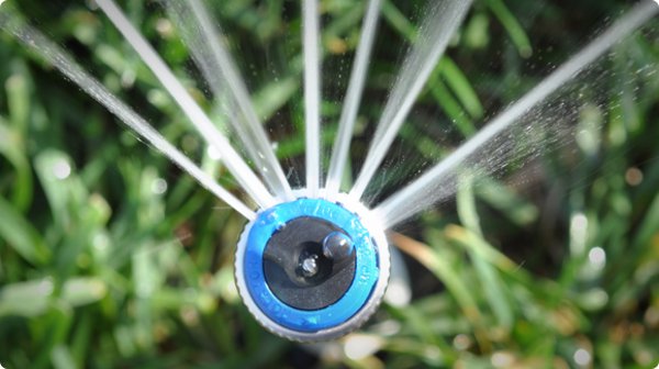 MP Rotator